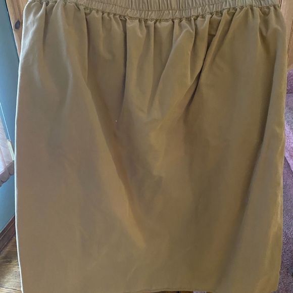 Zara High Waisted Skirt - Picture 3 of 3